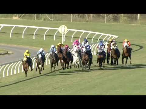 Sir Barnabus - Rockhampton Cup Race 7