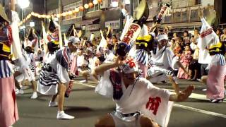 awaodori Awa dance in Tokushima