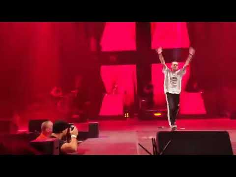 zdechły osa koncertów psuja