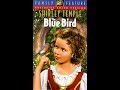 Opening To The Blue Bird 1994 2002 Repint VHS