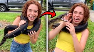 Os últimos minutos da tiktoker de cobras Brinley Cortez