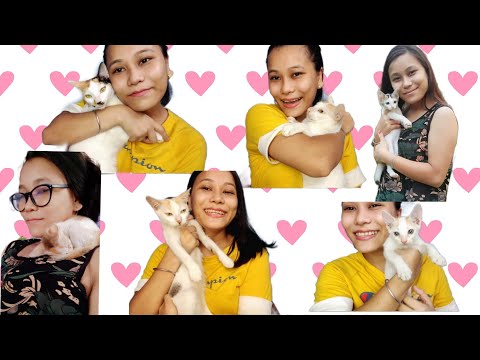 Introducing my babies to you all | Day 11 | Arpana Phonglo | Northeast India