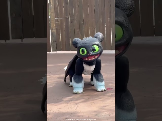 Vídeo relacionado con Play by Play - Peluche Cómo Entrenar a tu dragón - 30cm - 760025569 (Curious)