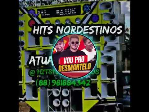 vou pro desmantelo a turma da pisadinha pisada di Muleke Matheus cantor