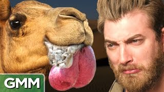 Bizarre Mating Rituals (GAME)