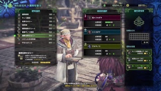 [モンハンワールド］ベヒーモスる