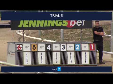 Newcastle Trials on 29th May 2026