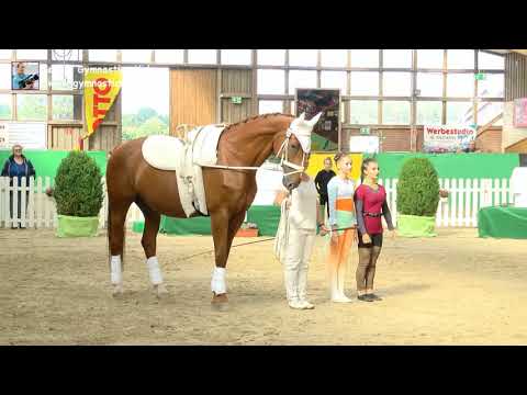 Coralie Sauter - Rike Grabherr (BAW) - Doppel 10 - DJM Krumke 2019