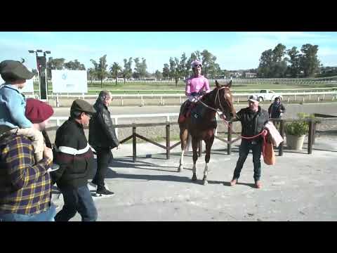 220730 c06 - SICILIA - HIPODROMO LAS PIEDRAS