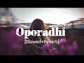 Oporadhi | [Slowed+Reverb] | Oporadhi Hindi Version | Sad Song 😥🎶