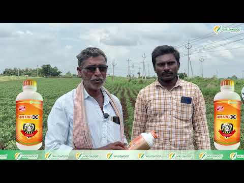 Suresh Yadav