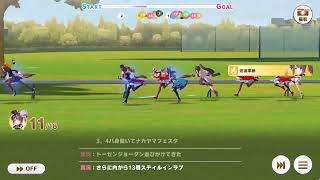 第九十四回デイリー凱旋門賞　2025/11/03 晴 稍重バ場