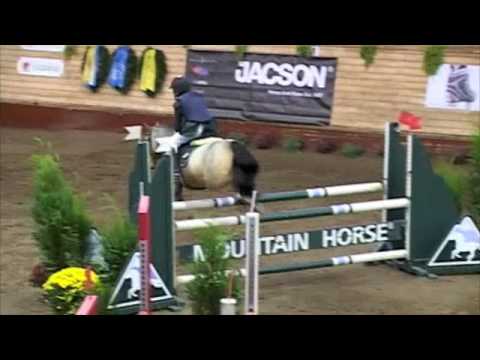 KUNGSBACKA 2008 SM PONNY