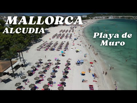 ALCUDIA – PLAYA DE MURO BEACH - MALLORCA (MAJORCA) BALEARIC ISLANDS