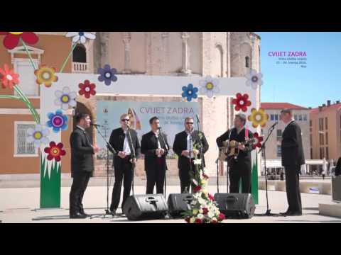 KLAPA KOŽINO -DIVNA JE RIVA MOJEGA GRADA