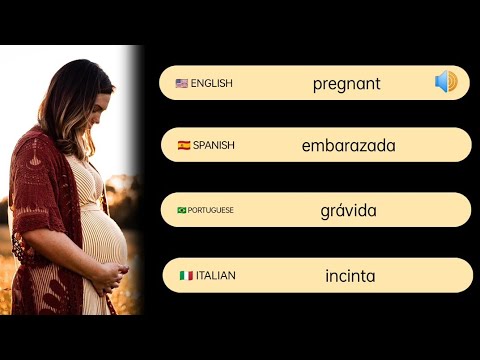 English vs Spanish vs Portuguese vs Italian || Word Differences