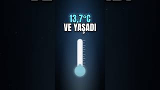 Vücut Isısı 13,7 Dereceye Düştü, Yaşadı