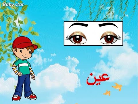 اجزاء الجسم للاطفال باللغة العربية | تعليم الاطفال اجزاء الجسم | بيبى ستار هنا hana