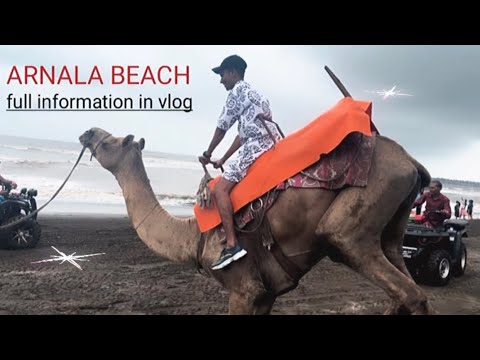 The best beach in Mumbai Arnala beach//full information in this video 🏝️🏖️⛱️