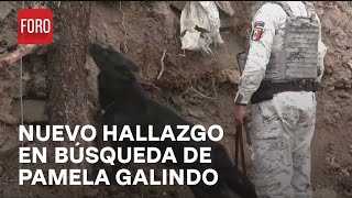 Hallan nuevo elemento óseo en búsqueda de la joven Pamela Gallardo - Noticias MX