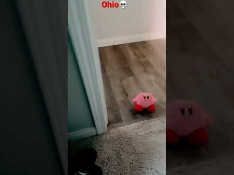Kirby in Ohio only In Ohio￼💀￼
