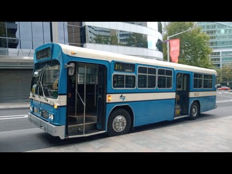 Sydney Bus Museum - 1923  - Mercedes 0305/PMC Mark 1