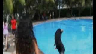 Download lagu ya iyalah - bulan band mp3 Download lagu ya iyalah - bulan band mp3