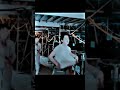 BTS PTD LA Behind The Stage Bts Shorts