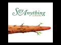 Say Anything-The Writhing South