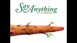 Say Anything-The Writhing South