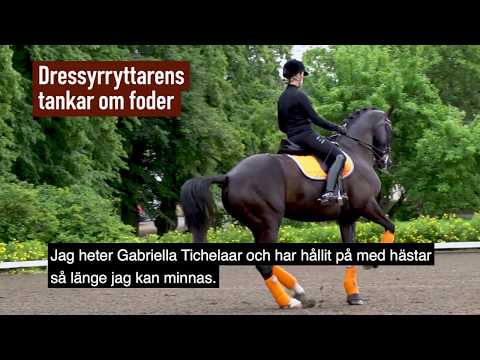 Rätt foder till hästen!