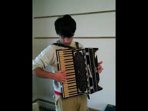 Scandalli Delfino 120 bass piano accordion SOLD