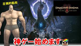 #7【クリア後】サイドクエスト消化とエンドコンテンツ　ドラゴンズドグマ 2：ダークアリズン 23時間～