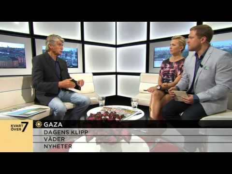 Gazakonfliken – så började kriget - Nyhetsmorgon (TV4)