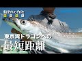 船釣りの作法＃21～釣技食技～　東京湾テンヤタチウオ×富所潤【サーベルマスターリミテッド】