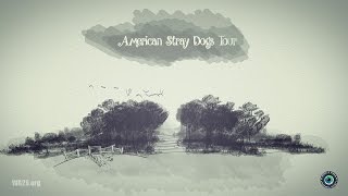 American Stray Dogs Tour Produced By WA2S Films
