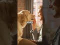 A Dogs Tale Of Loyalty
