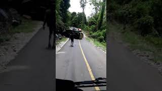 Download lagu Kejadian mobil terbalik di pendakian tamborasi kolut mp3 Download lagu Kejadian mobil terbalik di pendakian tamborasi kolut mp3