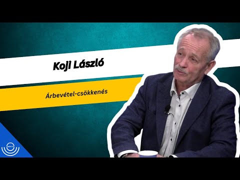 Pirkadat: Koji László – Árbevétel-csökkenés