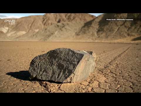 Scientists Spot 'Sailing Stone' Track in 200 Million-Year-Old Fossil