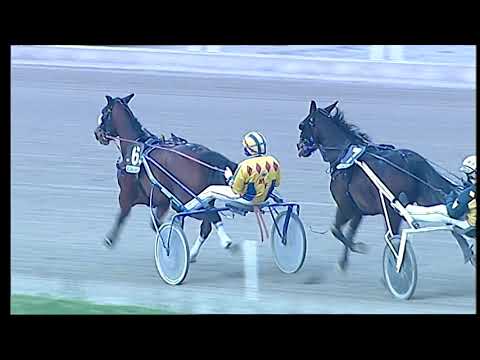 Trotto 20/12/2020 - 6ª corsa