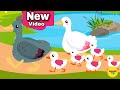 Five Little Ducks Fivelittleducks NummiTV