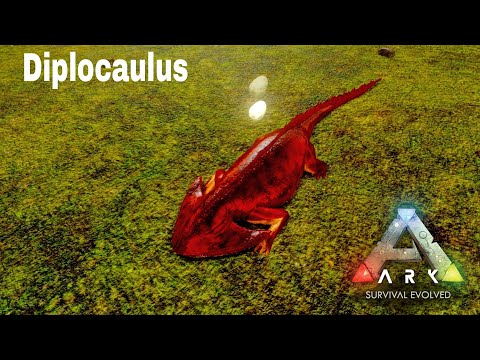 How to Tame Diplocaulus | Ark Survival Evolve
