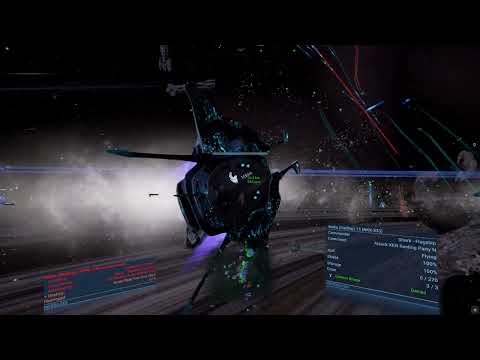 X4  Foundations: 6.0 Kingdom End - Boron fleet combat test