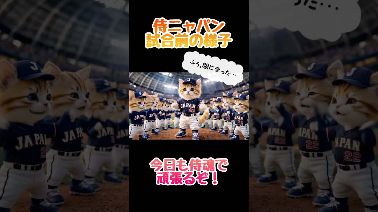侍ニャパンの試合前の様子…パート5 #癒し #猫のいる暮らし #侍ジャパン #wbc #大谷翔平