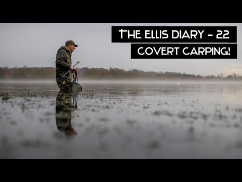 THE ELLIS DIARY - COVERT CARPING!