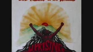 Bob Marley & the Wailers - Coming In From The Cold