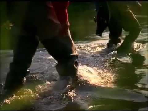 ConocoPhillips - Customer Success Story