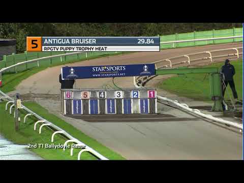 2020 RPGTV PUPPY TROPHY - HEAT 1 - T5 ANTIGUA BRUISER