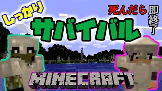 【マイクラ実況】２人でしっかりサバイバル　【洞窟探検】２
